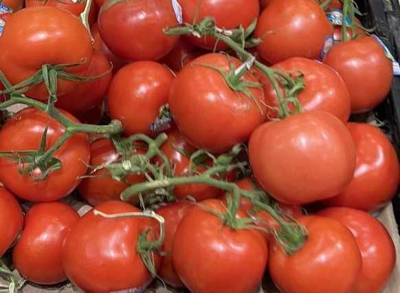 3. Roma Tomatoes