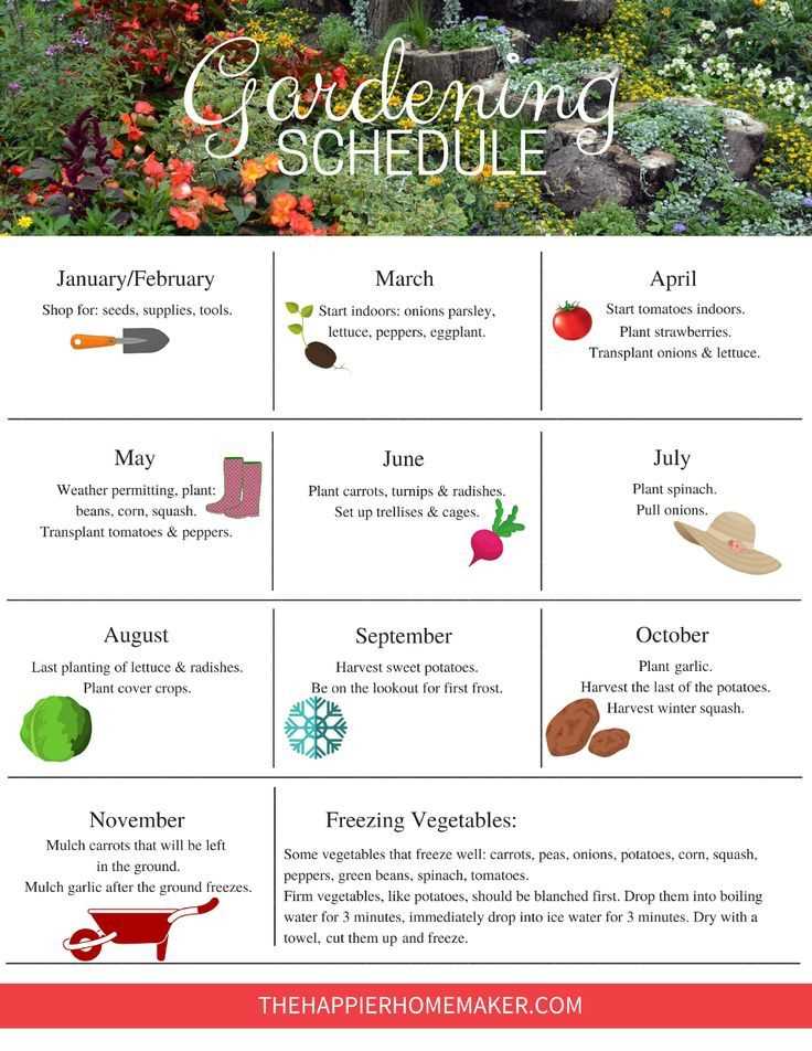 8. Practice Crop Rotation