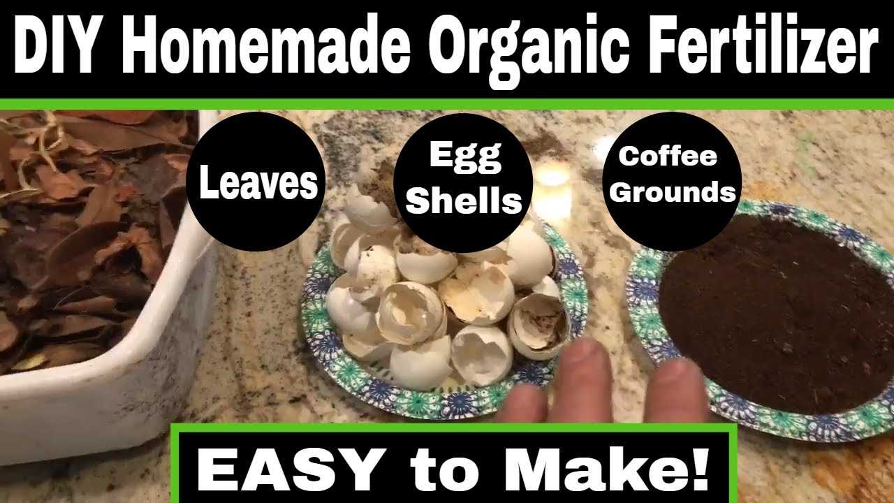 Why Use Homemade Organic Fertilisers for Seedlings?