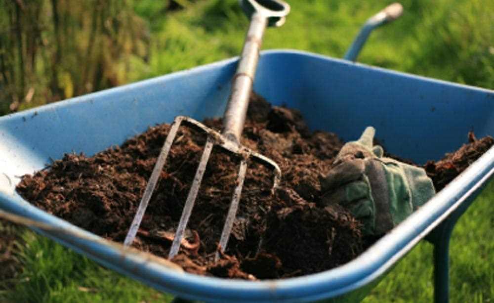 Natural Fertiliser Recipe #2: Coffee Grounds Fertiliser