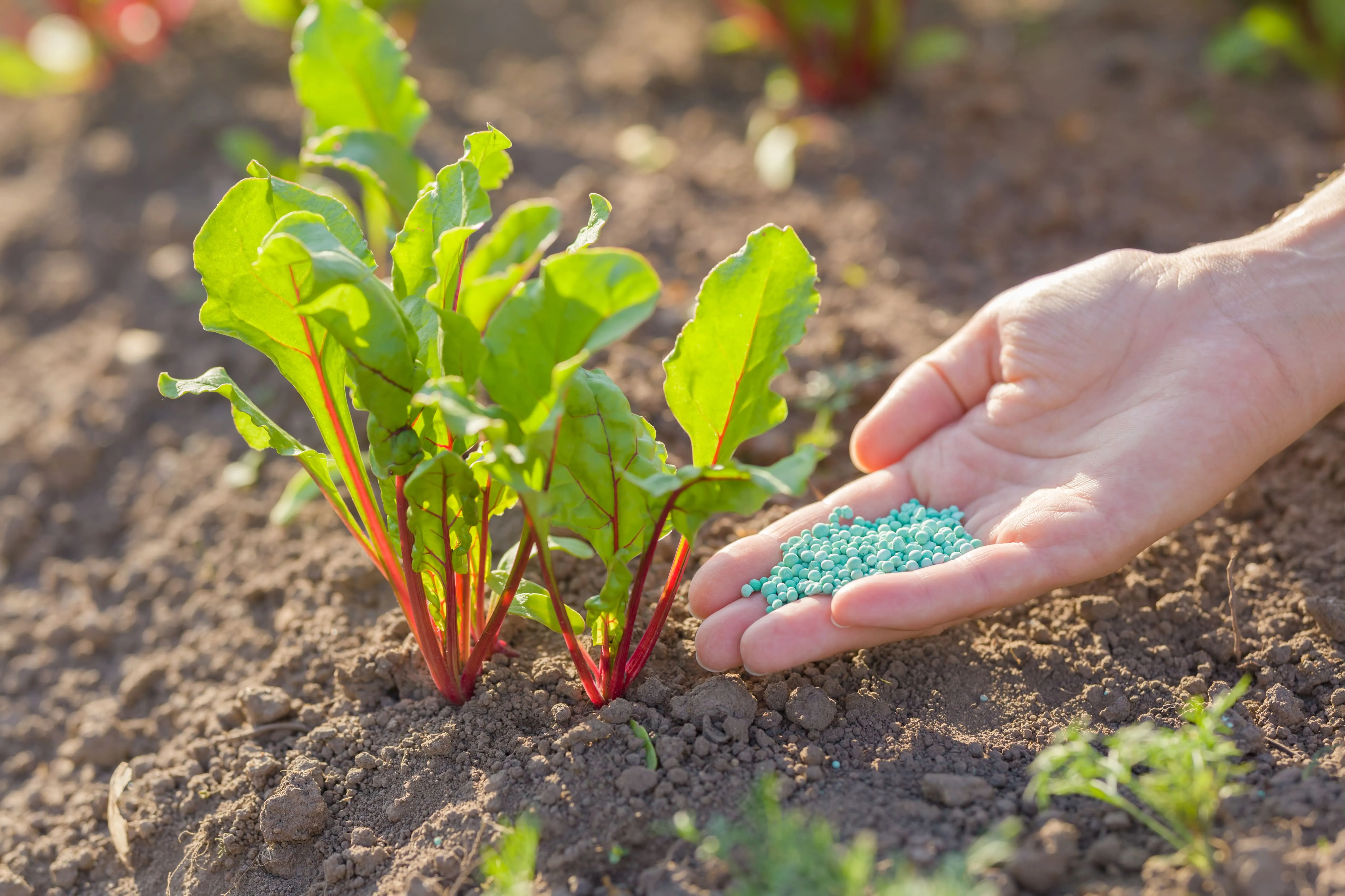 Mineral fertilizers