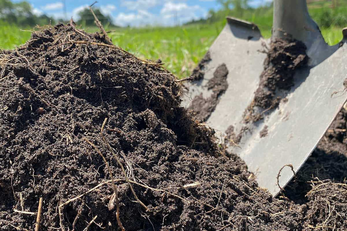 Long-Term Effects on Soil Health