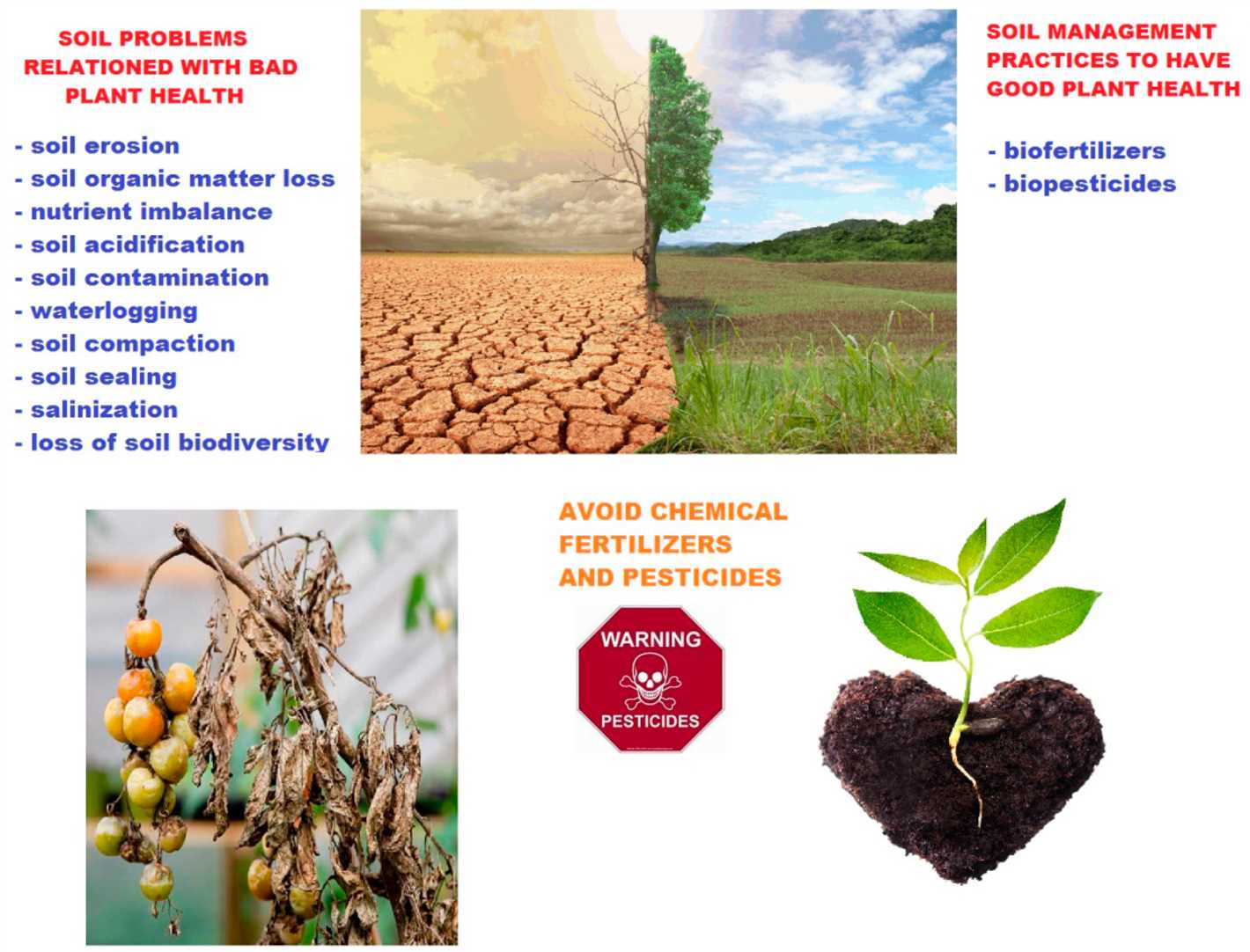 Application of Organic Fertilizers: