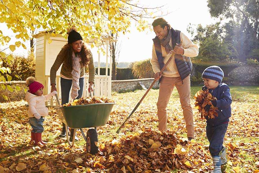 1. Choose the right mulch