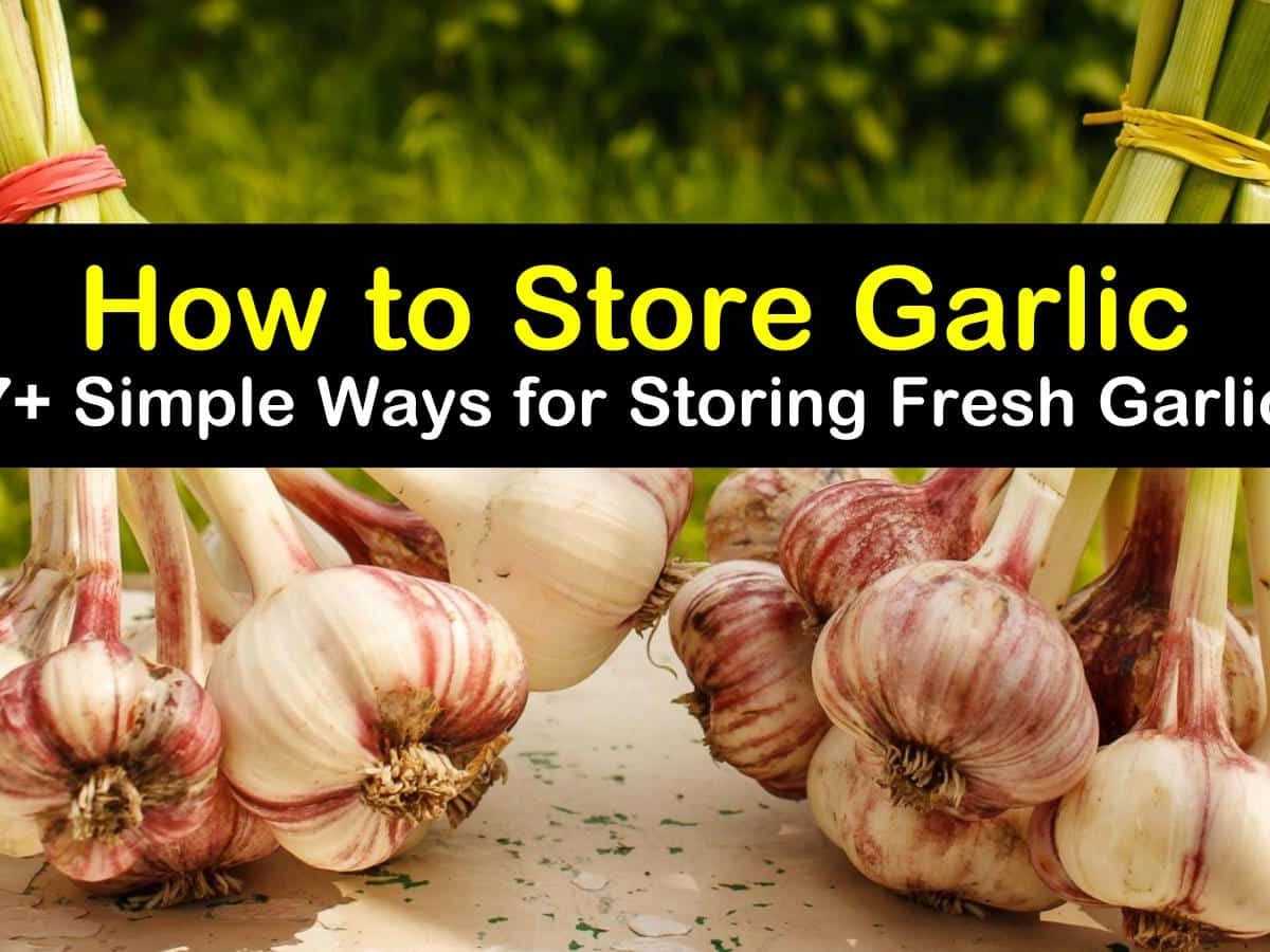 Here are some tips for refrigerating garlic: