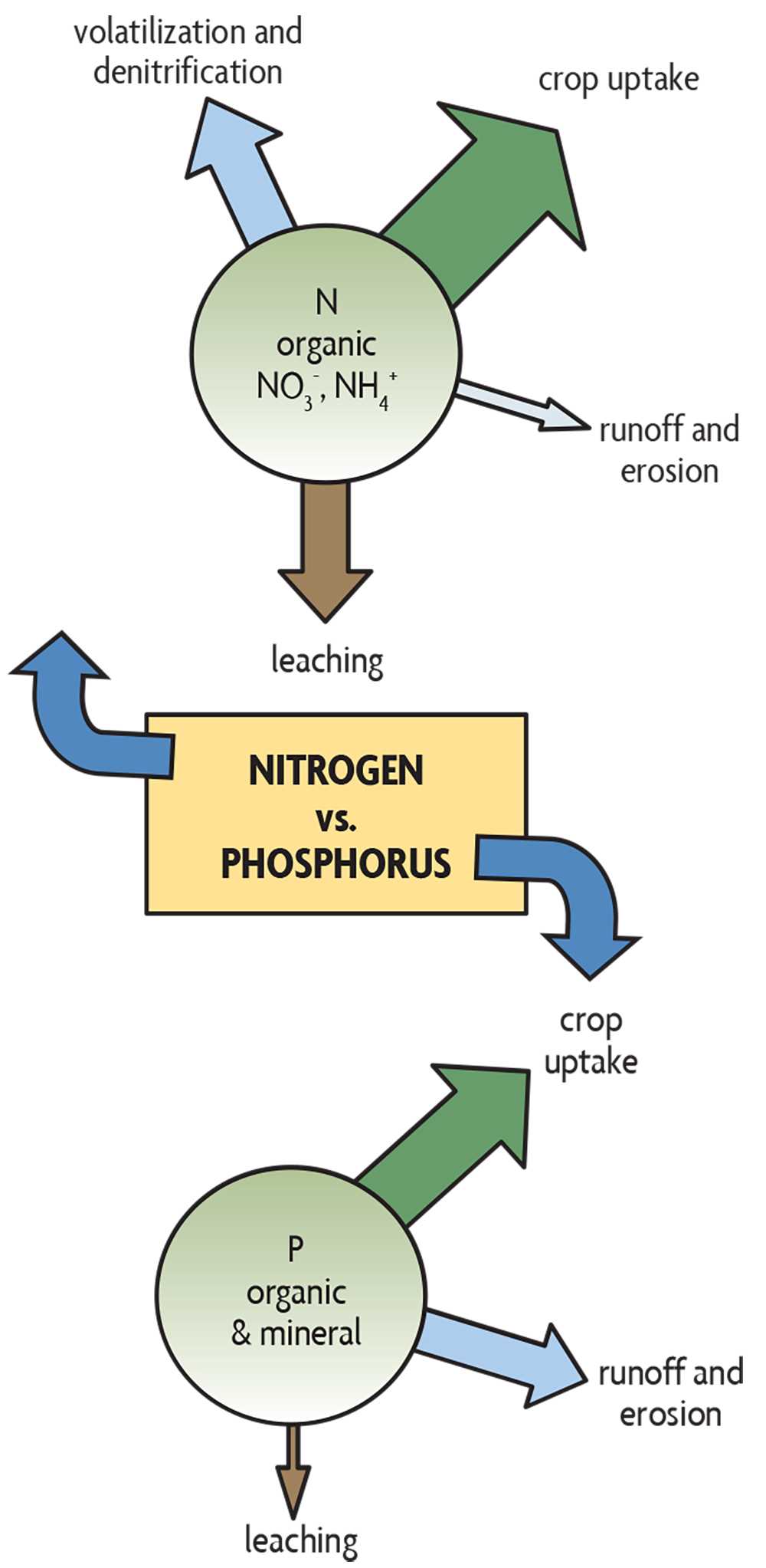 3. Complementary Crop Pairings