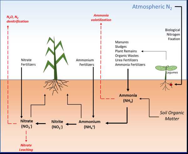 7. Manage Irrigation Timing