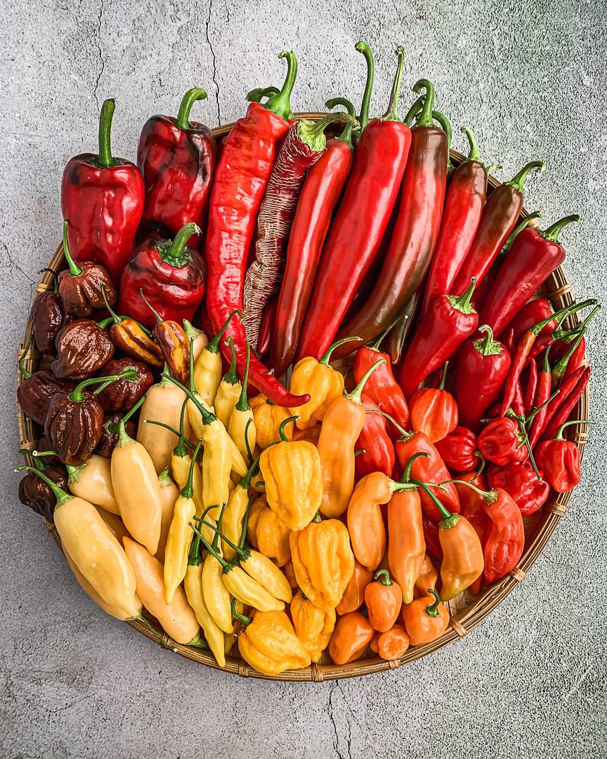 Sweet pepper salad