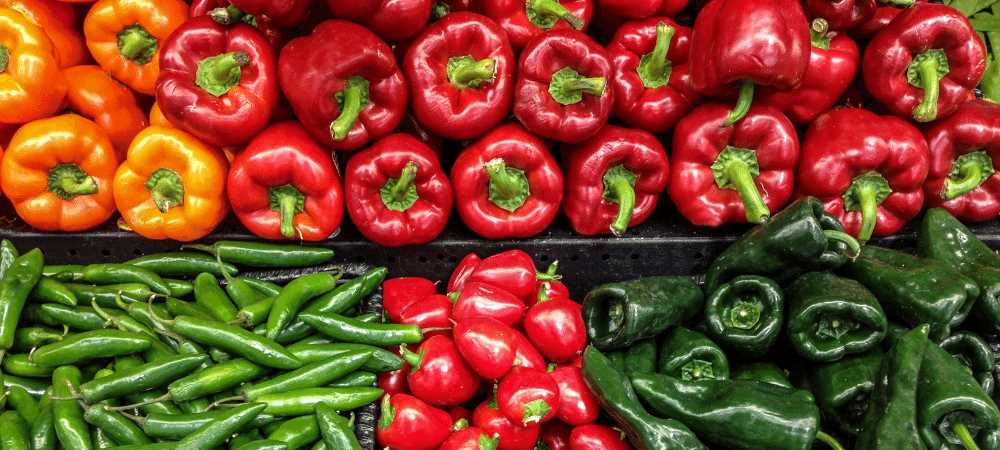 Flavor profile of the new high-yield sweet pepper