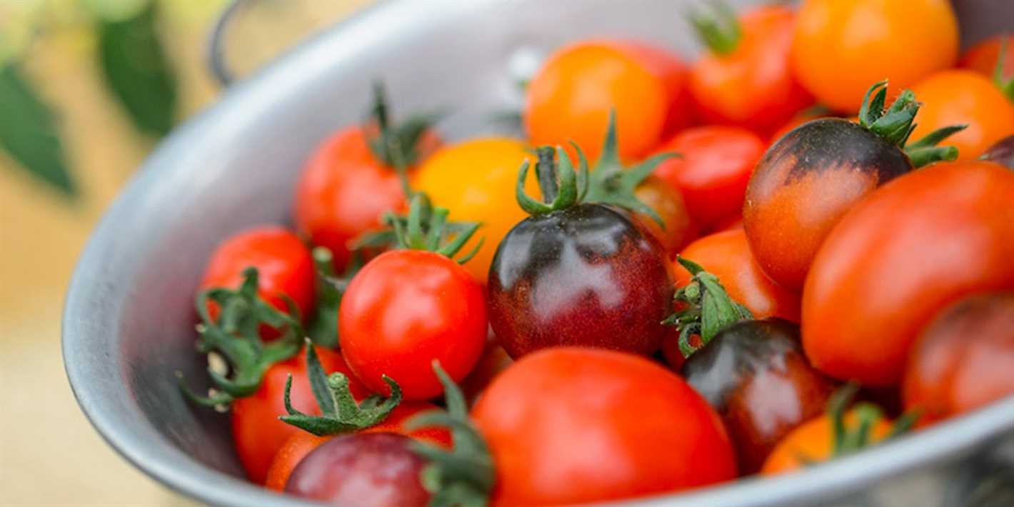 1. Selecting Suitable Tomato Varieties