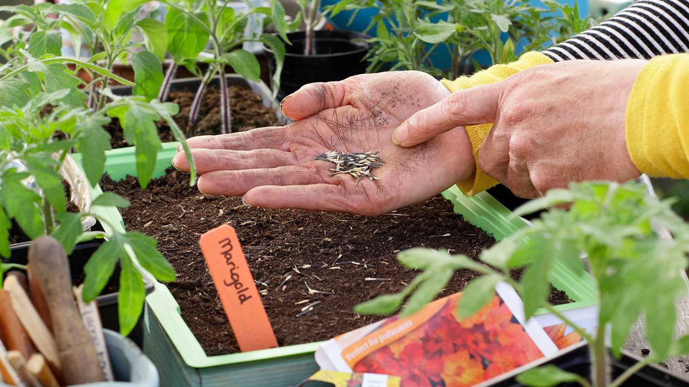 Be Patient and Gentle with Transplanting