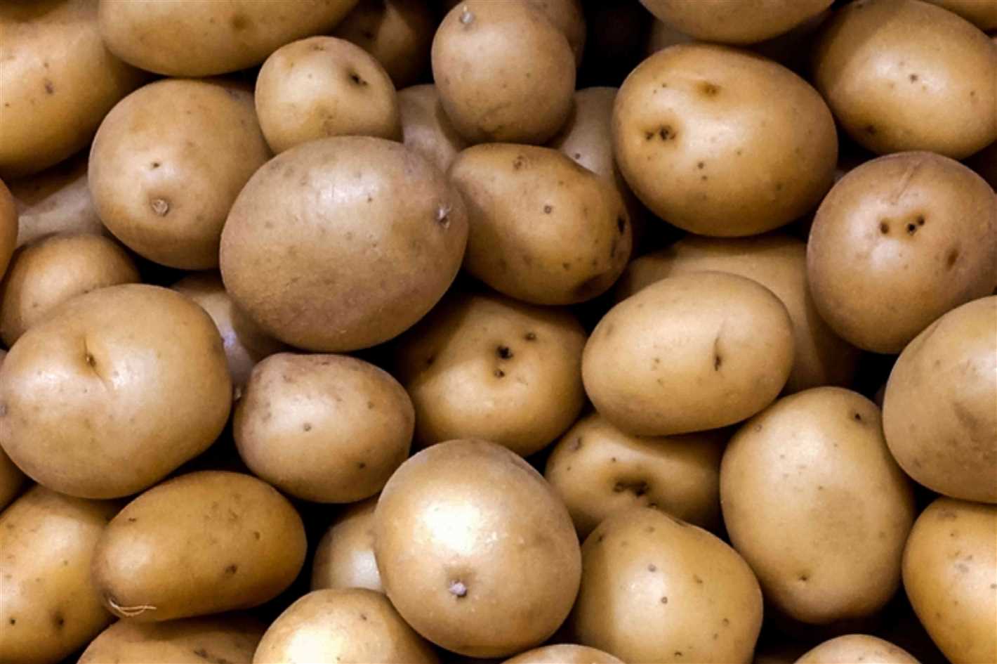 Why It's Important to Test the Longevity of Potatoes