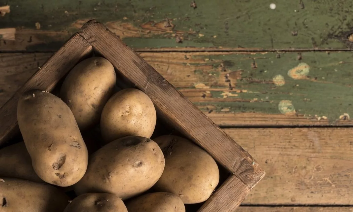 Potato Physiology