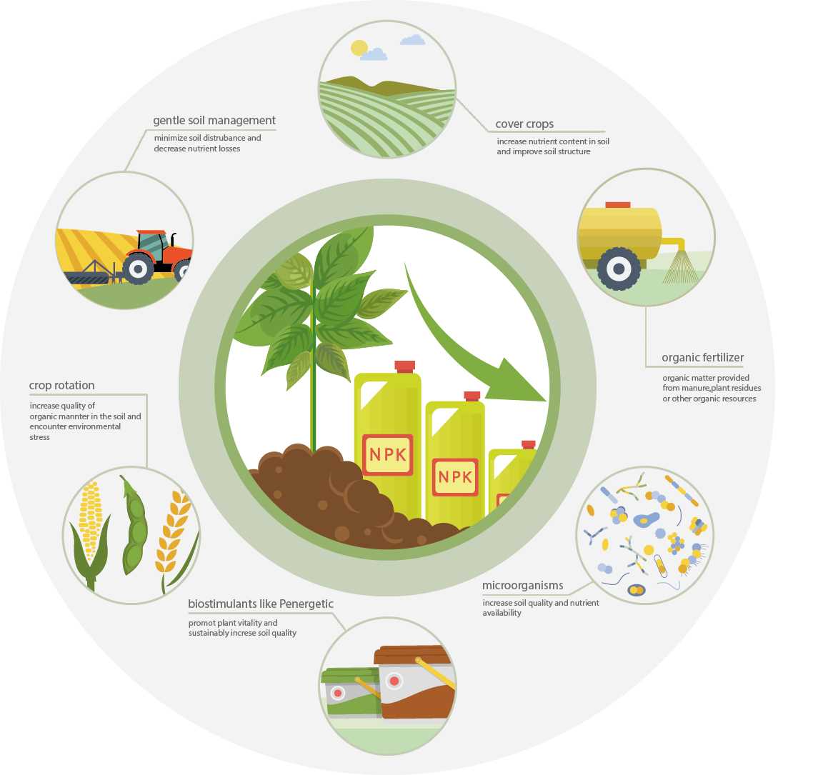 2. Choosing the right fertiliser