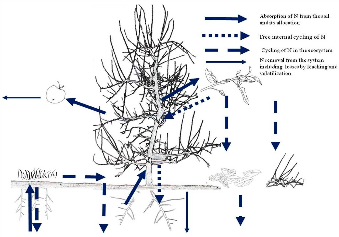 How to conduct a soil analysis