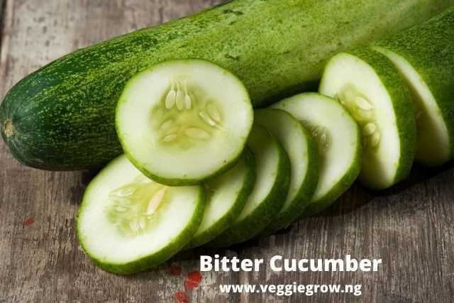 Prevention and Control of Bitterness in Cucumbers