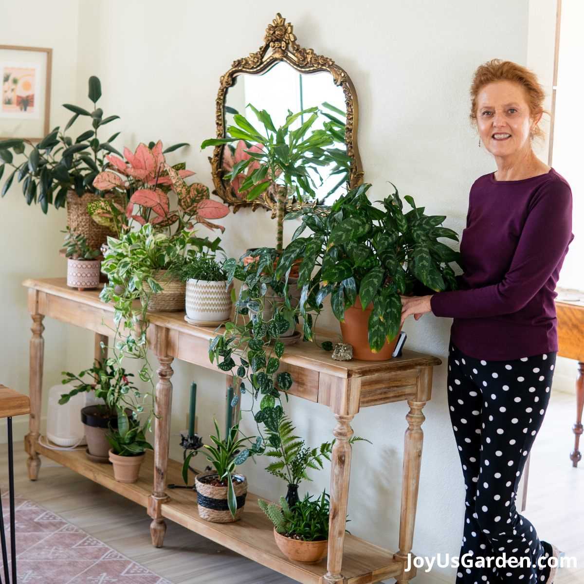 Tips for Caring for Indoor Plants in Winter