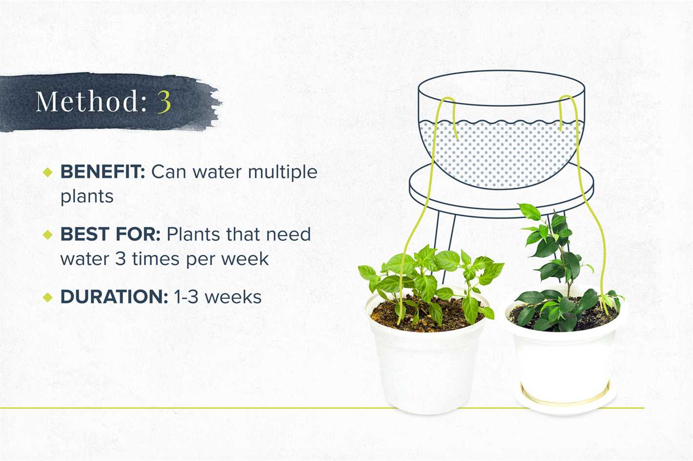 7. Monitor humidity levels