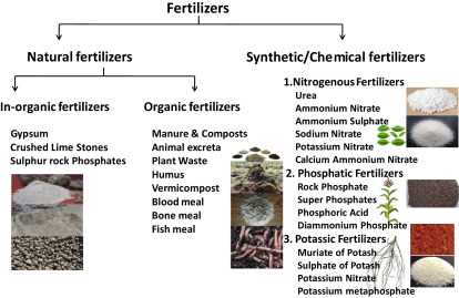 2. Increased Crop Yield