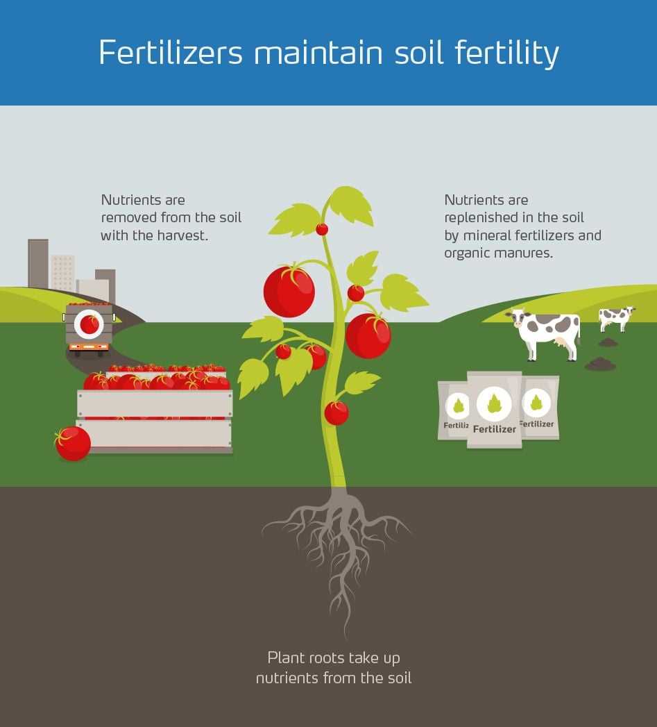 The Future of Mineral Fertilizers: Innovations and Sustainable Solutions