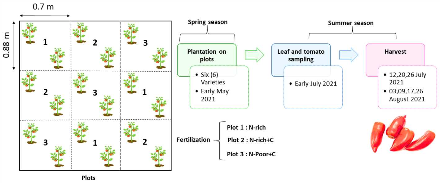 Fertilization and Pest Control