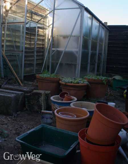 Utilize Sulphur to Disinfect Your Greenhouse