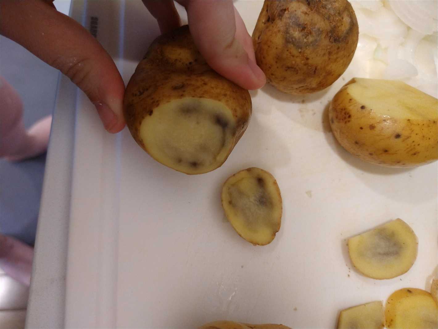 Identifying and Treating Rotten Potatoes