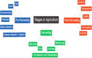 8. Monitor for Pests and Diseases