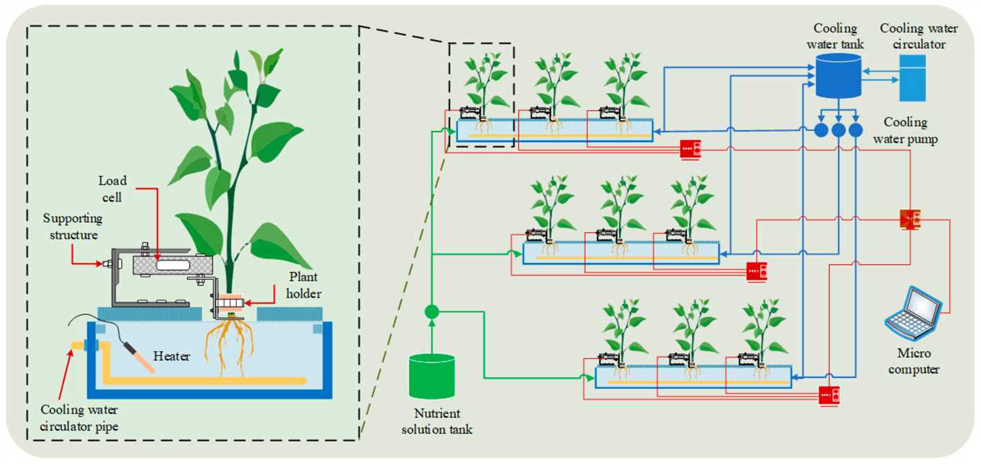 Soil Moisture