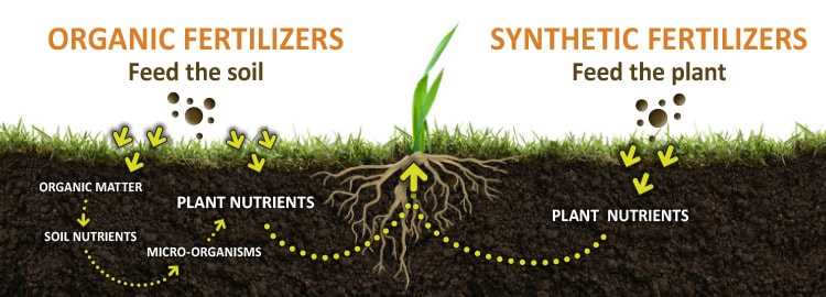 Types of Fertilisers