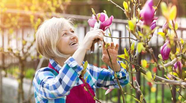 When to Prune Your Plants in Summer