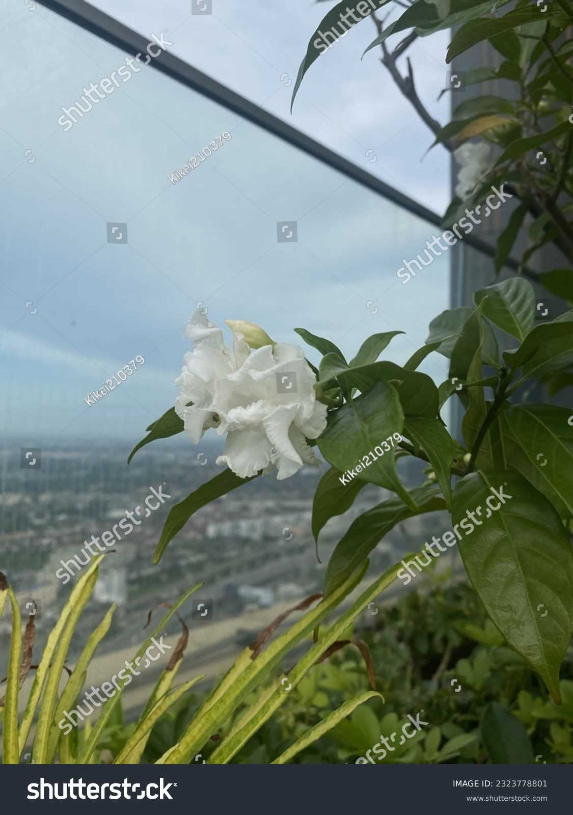 Loss of Habitat