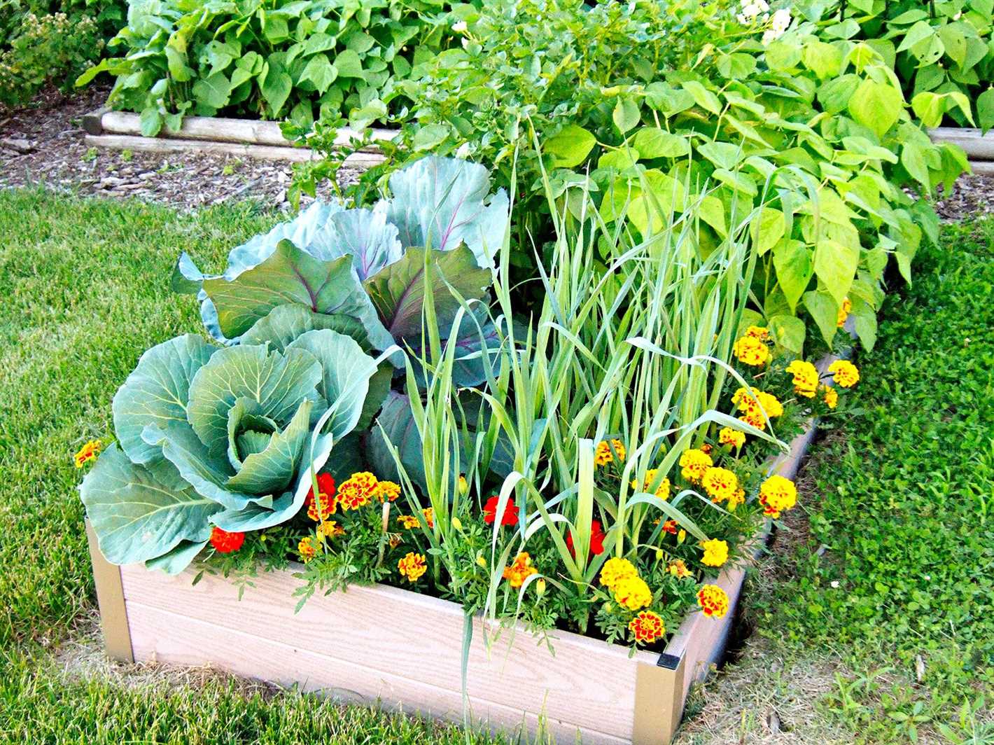 Tips for Growing Healthy Seedlings