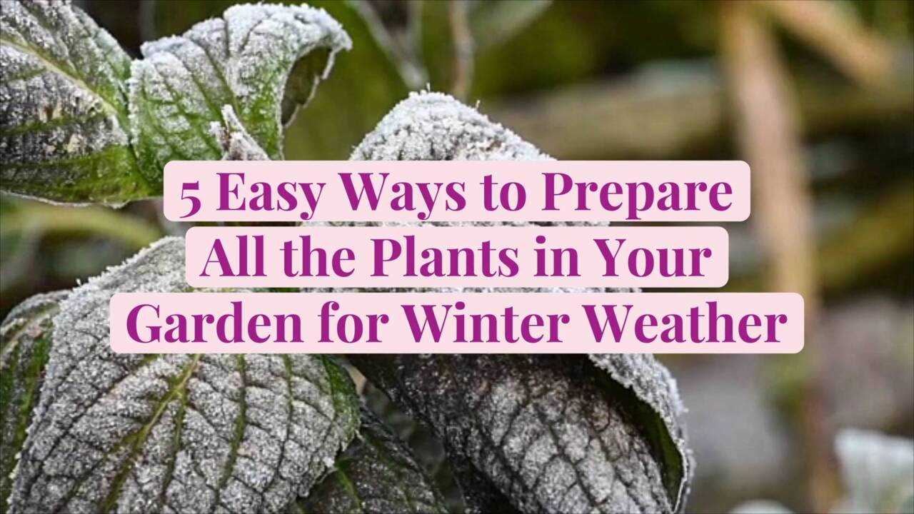 1. Clear out the garden beds