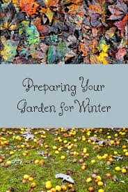 3. Mulch your soil