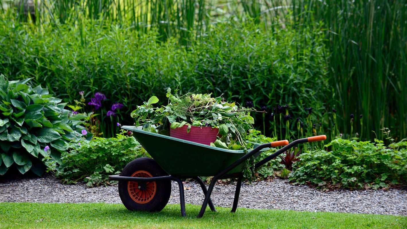 5. Mulching the Bed