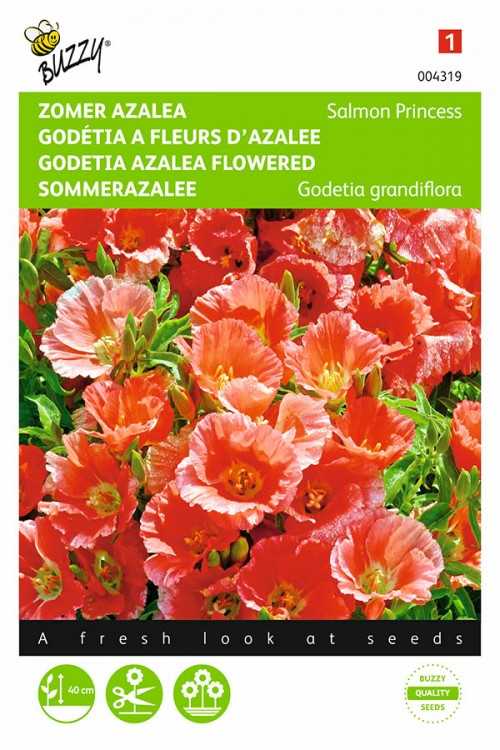 3. Godetia picta