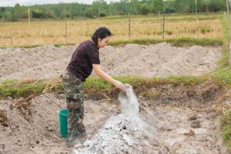 Benefits of Limestone for Soil Health