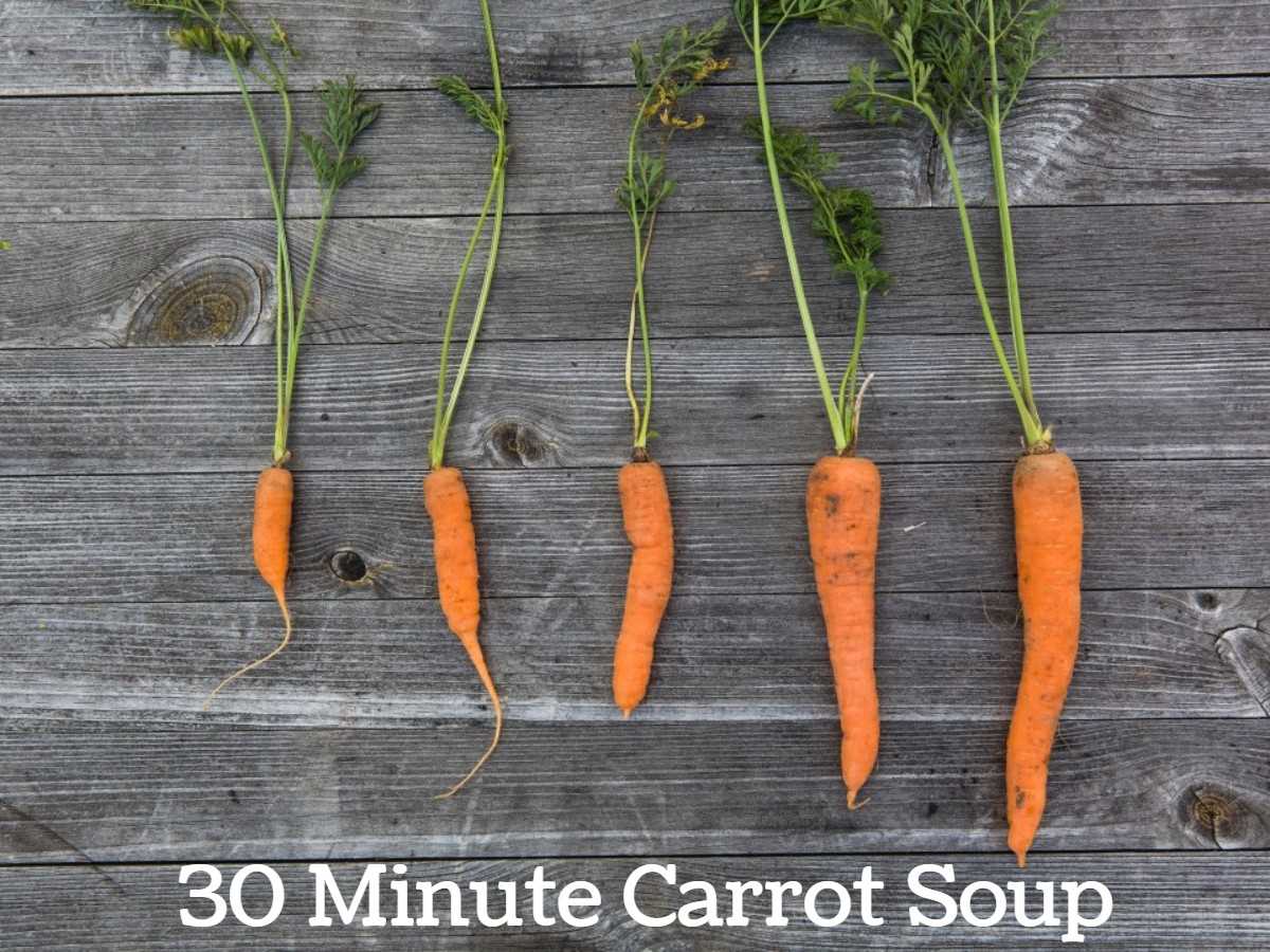 3. Pulling the Carrots