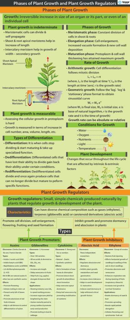 1. Pre-planting treatment