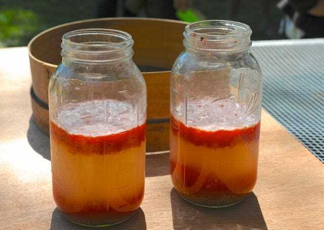 Step 6: Storing Tomato Seeds