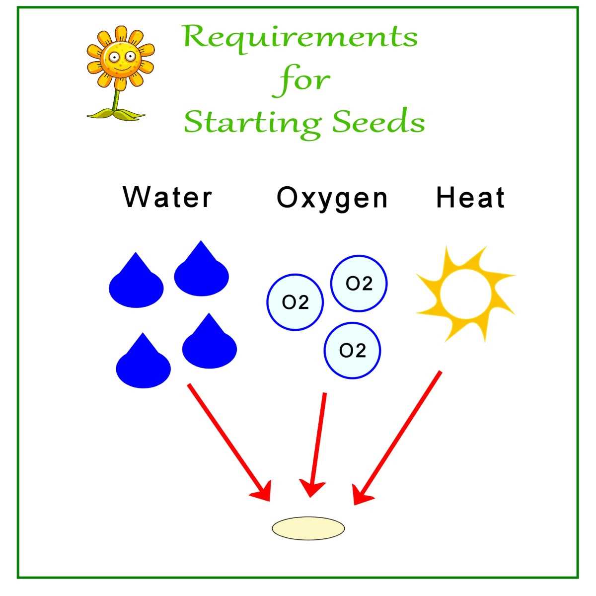 4. Seed Soaking