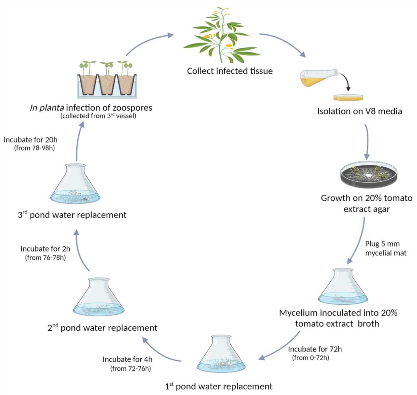 Fungicides