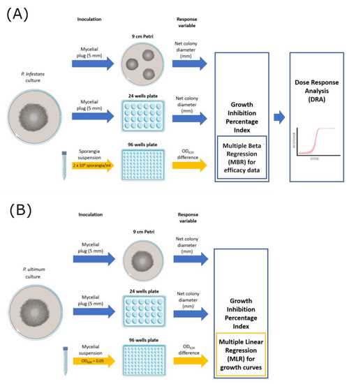 3. Spread of Pathogens