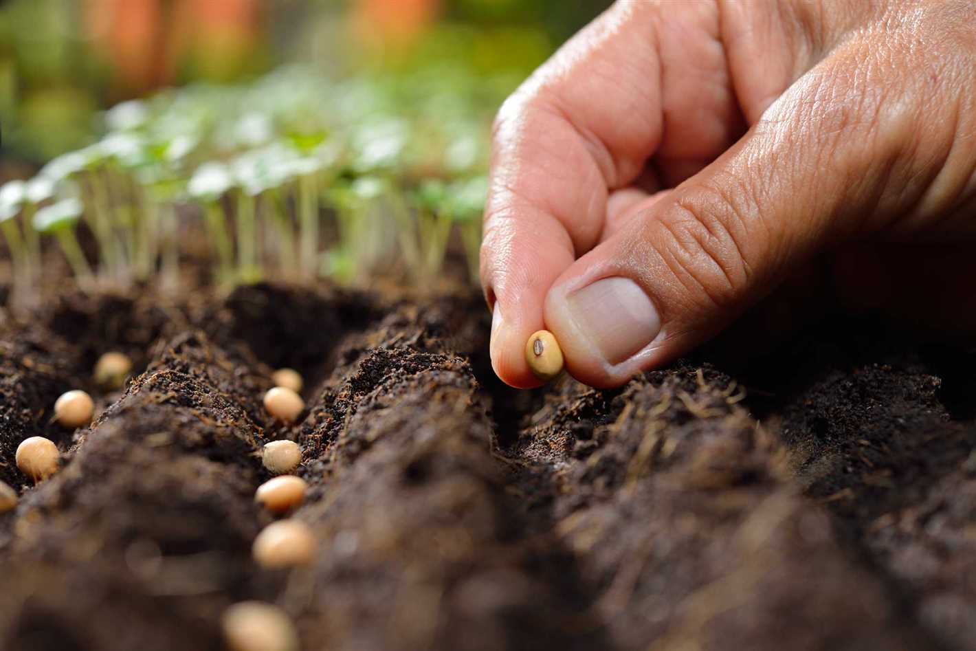 11. Enjoy your homegrown vegetables