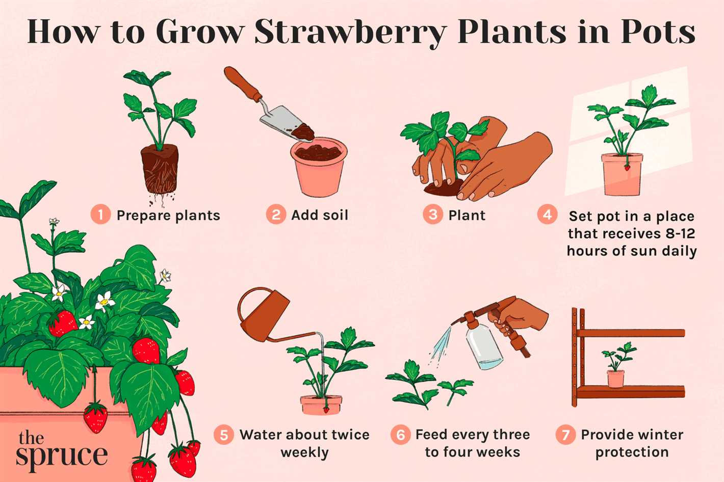 8. Transplanting