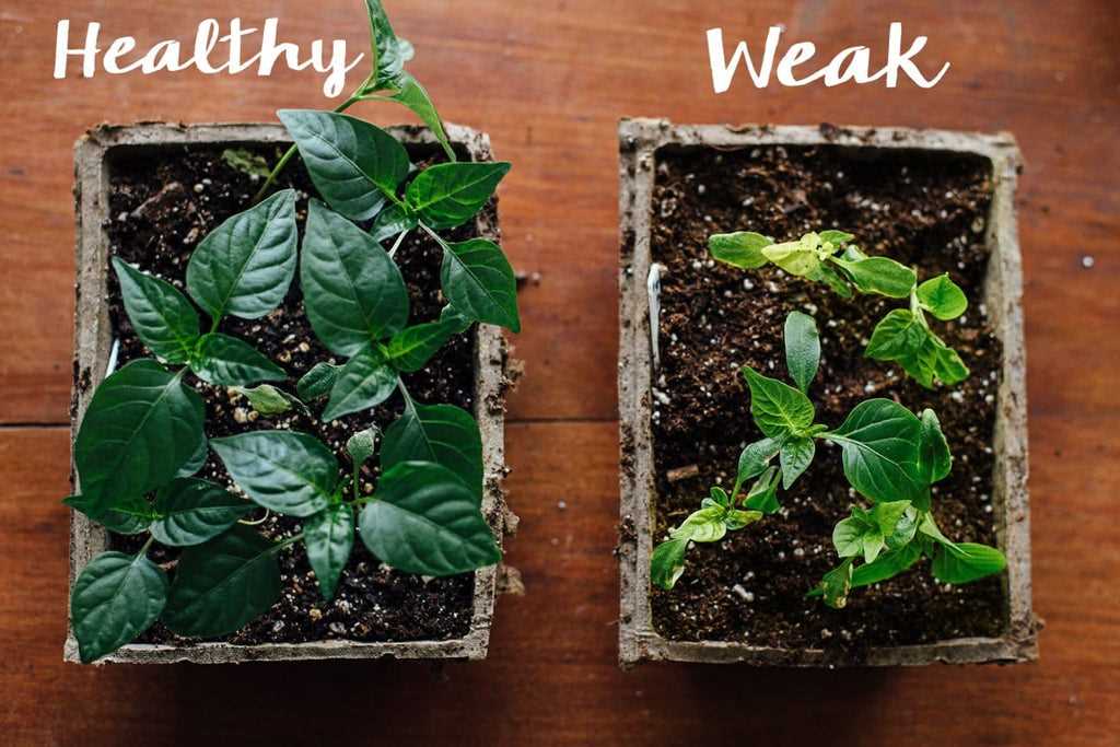 5. Monitoring moisture levels