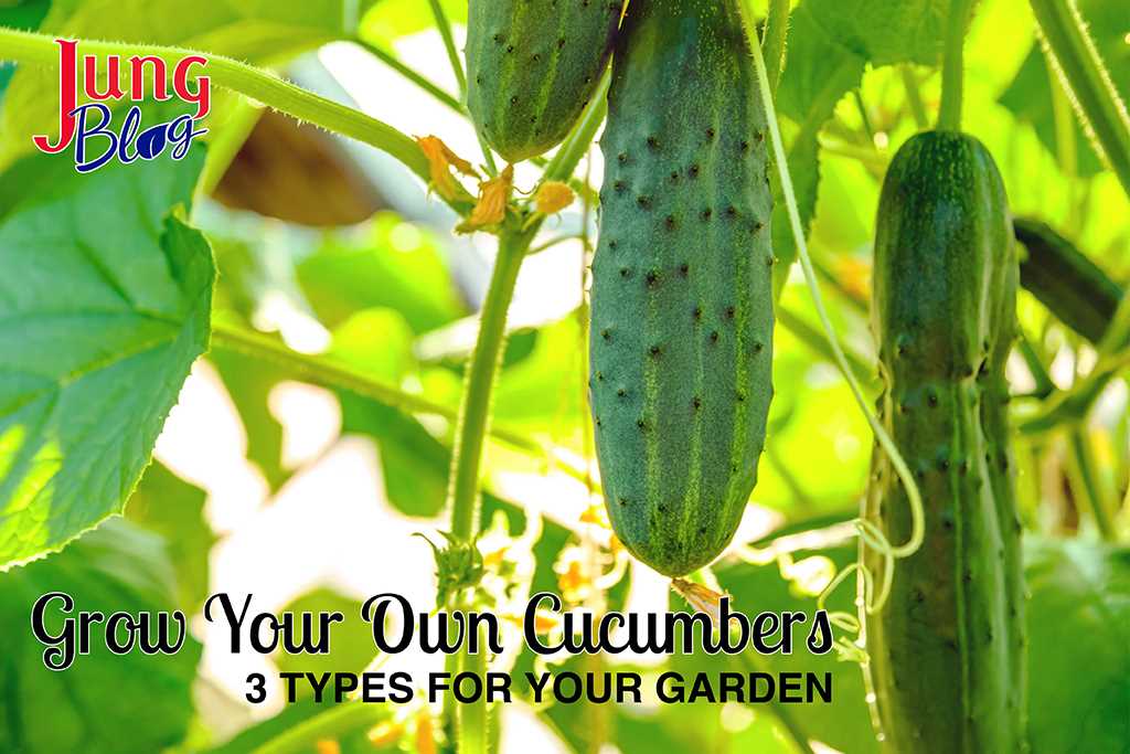 5. Use Heat-Resistant Varieties