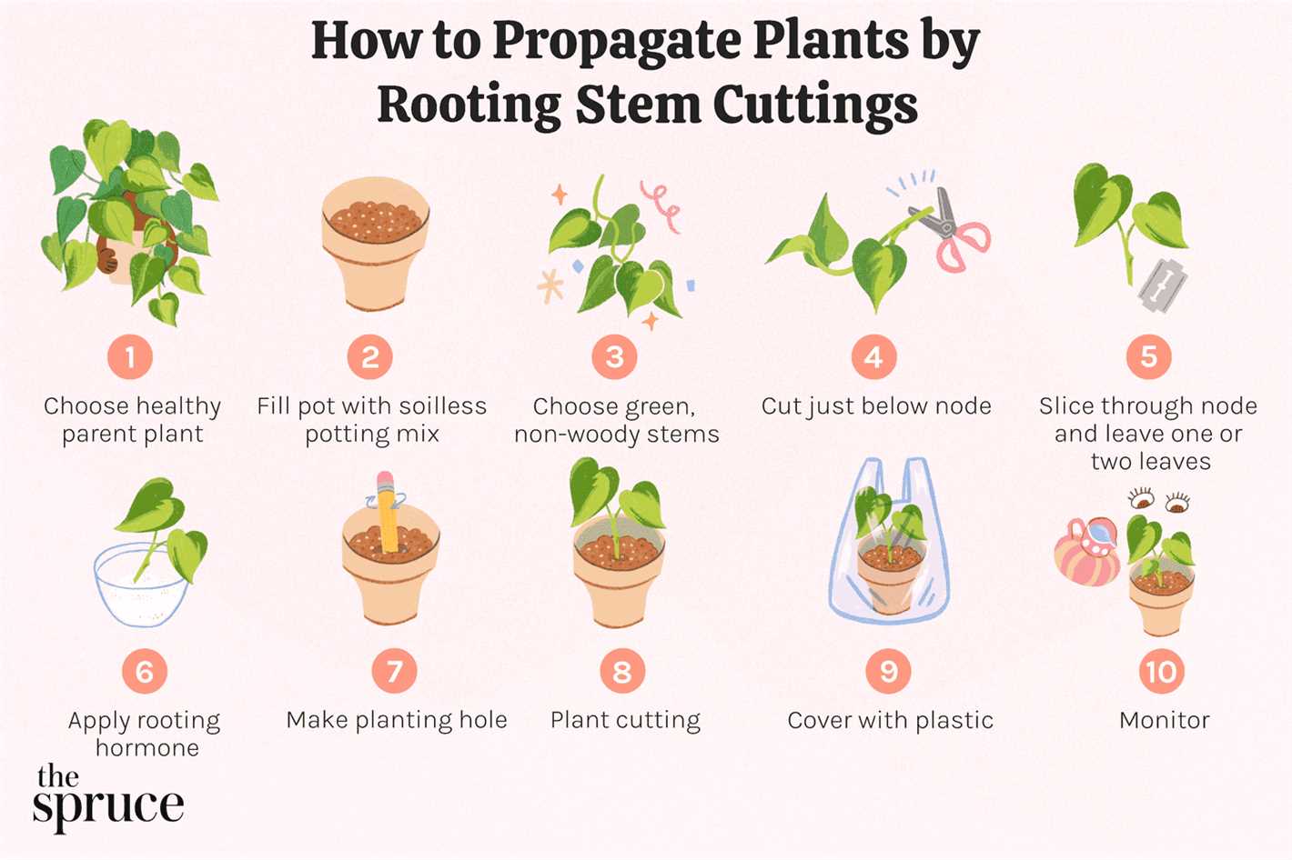 1. Choose healthy and vigorous plants