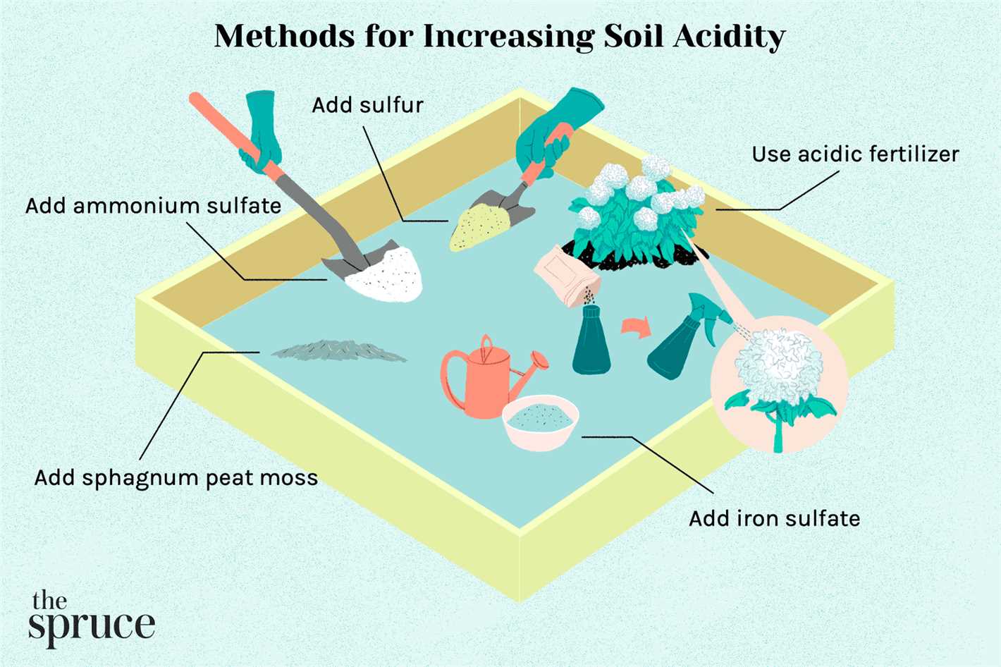 3. Spread the fertilizer evenly